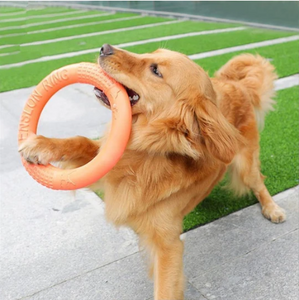 Training Ring Interactive Training Dog Toy 