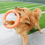 Training Ring Interactive Training Dog Toy 