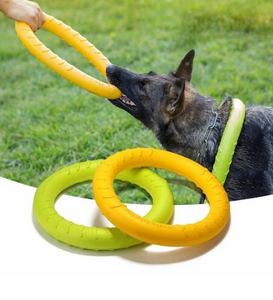 Training Ring Interactive Training Dog Toy 