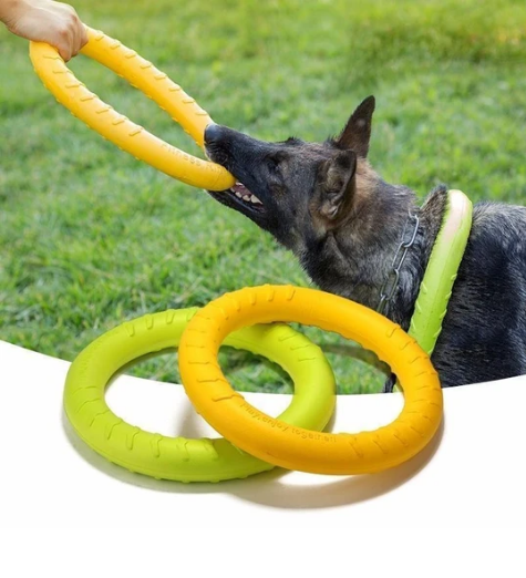 Training Ring Interactive Training Dog Toy 