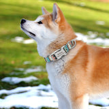 Customized Printed Pet Collar