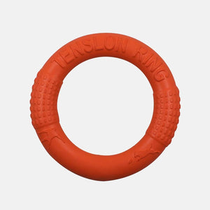 Training Ring Interactive Training Dog Toy 