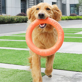 Training Ring Interactive Training Dog Toy 